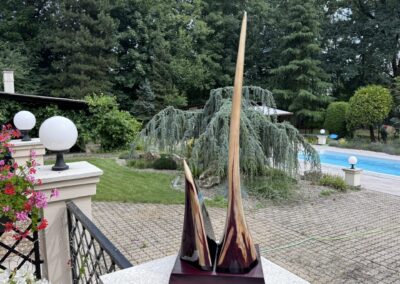 Boční profil originálního rostra mečouna.
