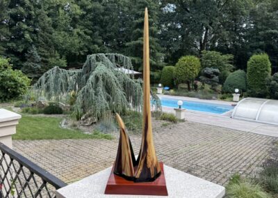 Boční pohled na originální rostrum mečouna.