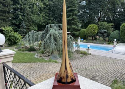 Originální rostrum mečouna z Tichého oceánu – limitovaná sběratelská edice DODODOS.