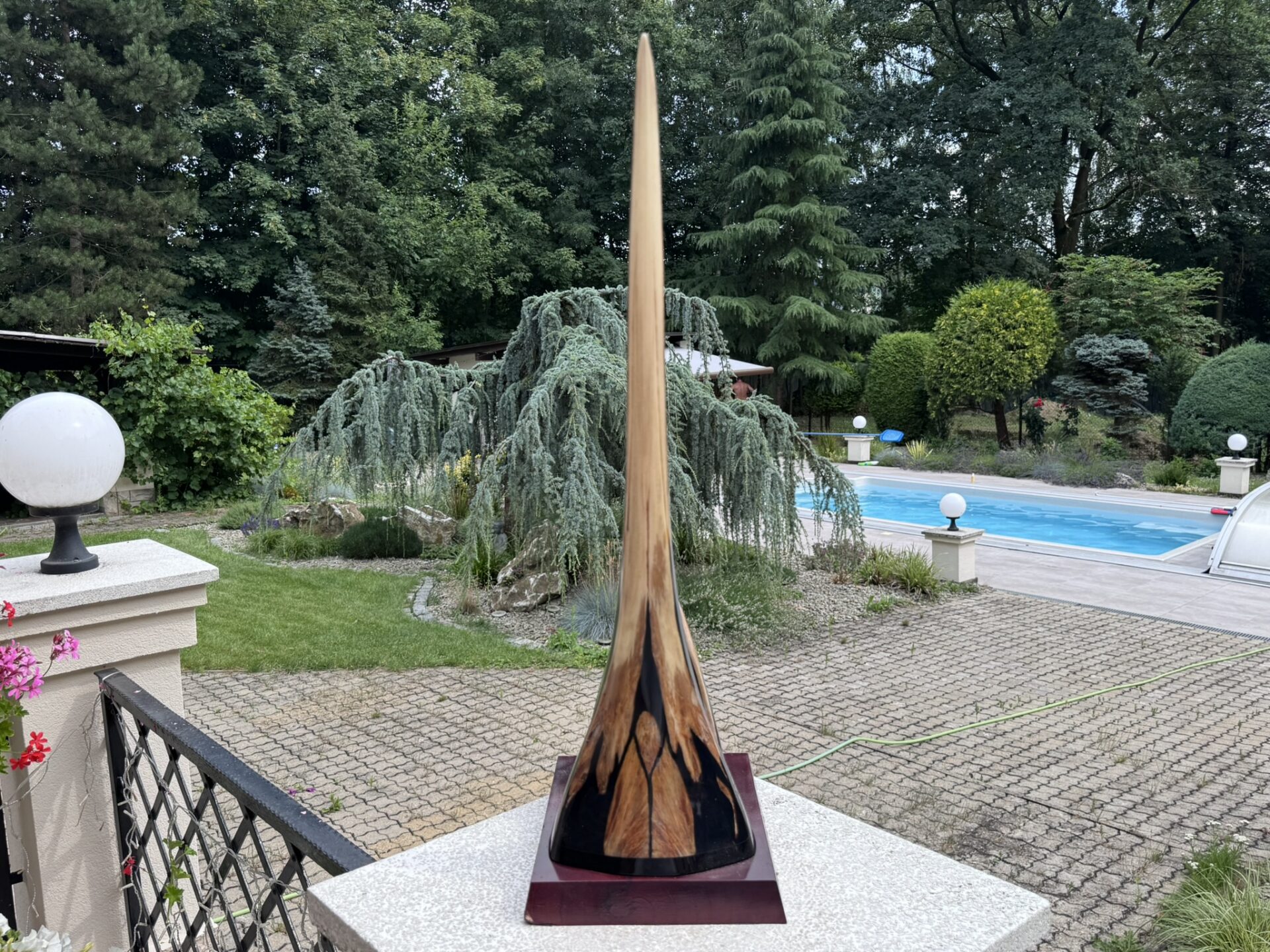 Přední pohled na originální rostrum mečouna z Tichého oceánu.