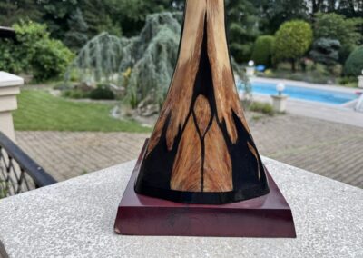 Detail povrchu originálního rostra mečouna s přirozenou kresbou.