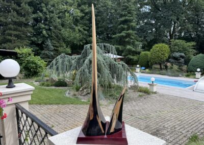 Boční pohled na originální rostrum mečouna.