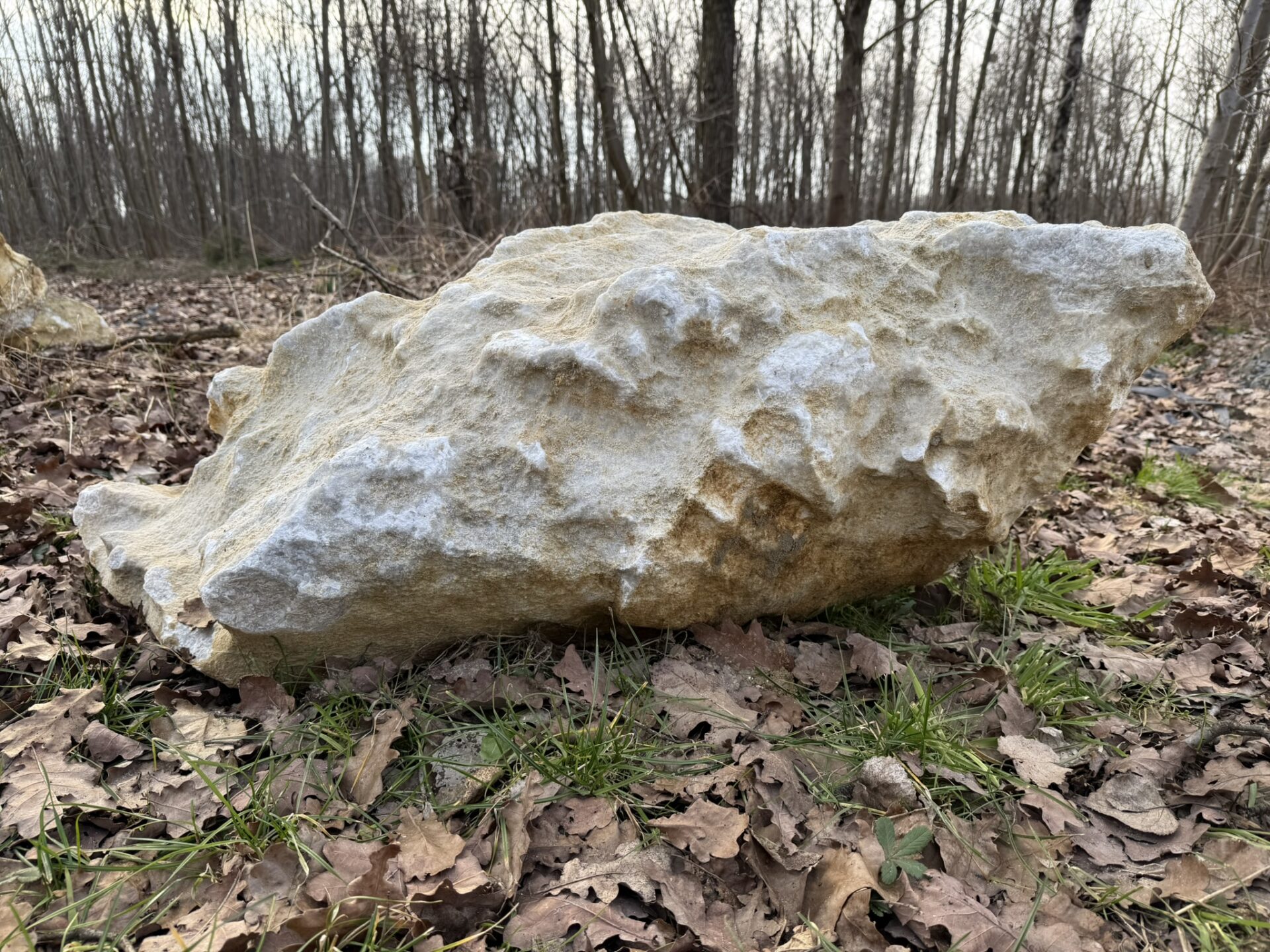 Luxusní přírodní mramorový solitér v krémově bílých odstínech pro reprezentativní zahrady.